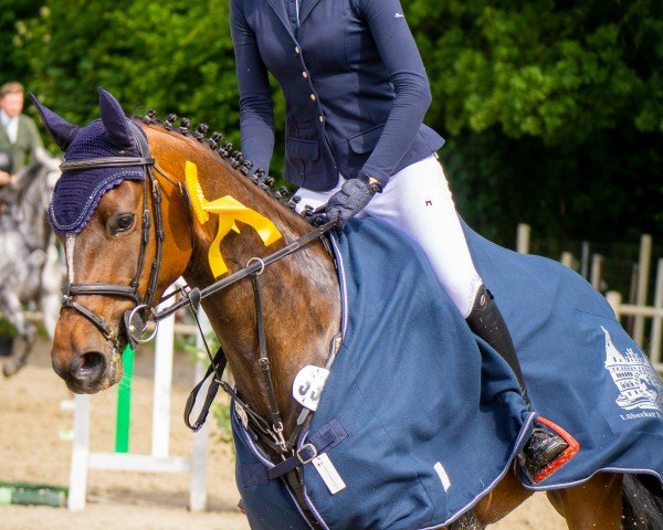 jumper Miss Barquia R (Holsteiner, 2019, from Constanzehof's Barcley)