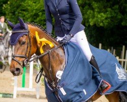 jumper Miss Barquia R (Holsteiner, 2019, from Constanzehof's Barcley)