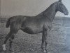 broodmare Toni (Holst.) 5406 (Holsteiner, 1897, from Cicero 1608)