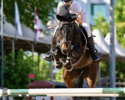 jumper Vaga Bund (Hanoverian, 2012, from Van Helsing)