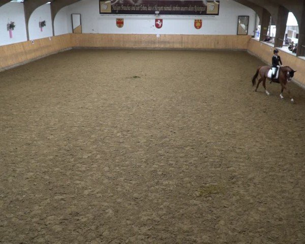Reitturnier Olfen-Vinnum 2024