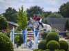 jumper Voodstock de L'Astree (Selle Français, 2009, from Quinola du Park)