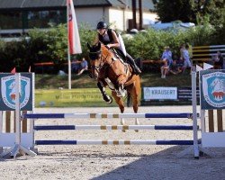 jumper Longina 4 (Oldenburg show jumper, 2013, from Los Angeles)