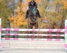 jumper Coconut 53 (Oldenburg show jumper, 2014, from Conthargos)