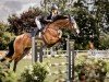 jumper Fernando LW (Swiss Warmblood, 2015, from Felton VDL)