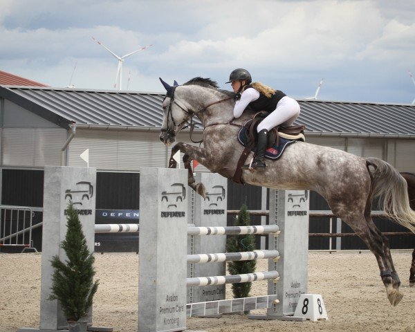 Springpferd Chacoon´s Emma H (Deutsches Sportpferd, 2017, von Chacoon Blue)