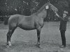 broodmare Neforis (Hanoverian, 1905, from Nadick)