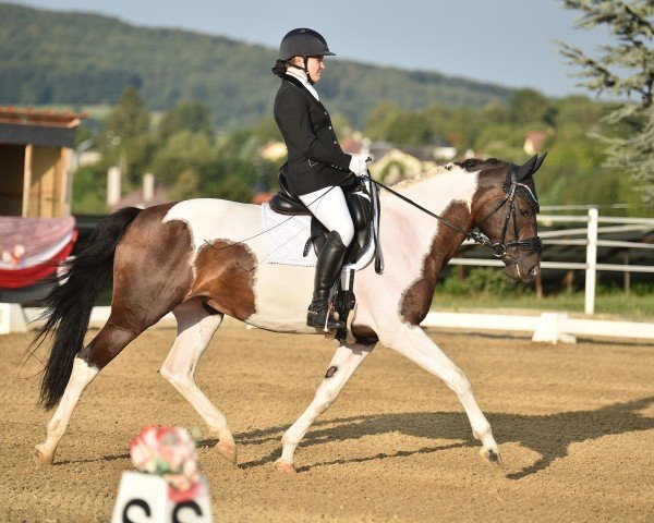 dressage horse Laranta (KWPN (Royal Dutch Sporthorse), 2016, from Ebony)