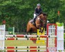 jumper Caristo K (German Sport Horse, 2015, from Con Sherry)