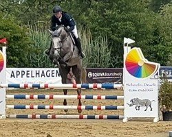 jumper It's My Way Odessa (Hanoverian, 2020, from I'm Special de Muze)