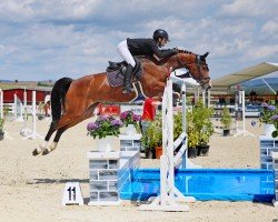 jumper Bambi Jo Pj (Hanoverian, 2019, from Balou du Rouet)