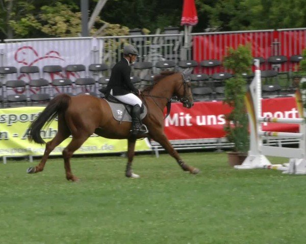 Reitturnier Aschersleben 2024