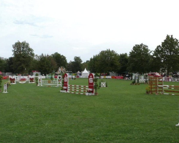 Reitturnier Aschersleben 2024