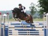 jumper Mr. Magic Jimmy B (Irish Sport Horse, 2015, from Killaloe Buachaill Mór)