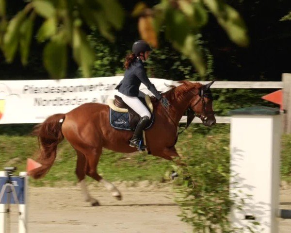 Reitturnier Walldorf/Winterheck 2024