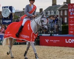 jumper Primavera (German Sport Horse, 2013, from Mylord Carthago)