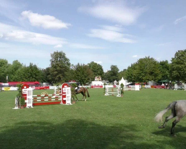 Reitturnier Aschersleben 2024