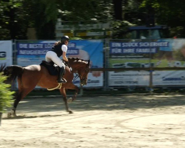 Reitturnier Walldorf/Winterheck 2024