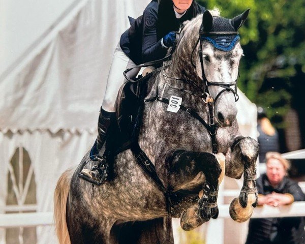 jumper Claire 215 (Hanoverian, 2019, from Clinton's Heart)