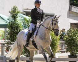 dressage horse Bujalance Yet (Pura Raza Espanola (PRE), 2016, from Quimbo YET)