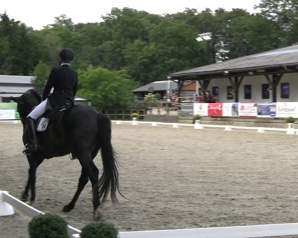 Reitturnier Solingen 2024