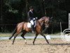 dressage horse Rubycon K (Hanoverian, 2008, from Rubin Royal OLD)