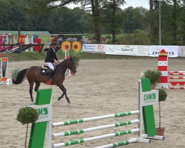 Reitturnier Sieversen - Rosengarten 2024
