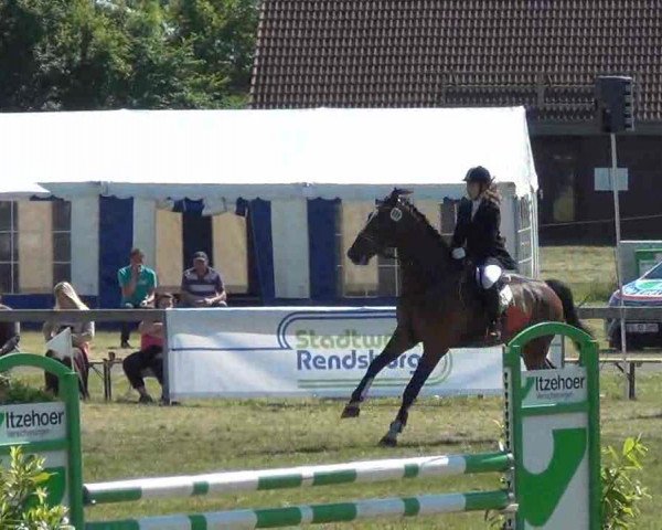 Nord-Ost-Pferd 2013