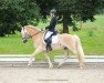 dressage horse Anyway (3,91% ox) (Edelbluthaflinger, 2009, from Amaryl (1,57% ox))