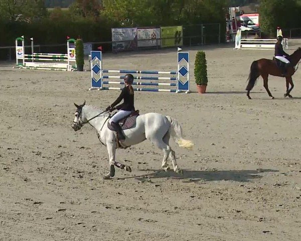 Reitturnier Großbardorf/Ufr. 2024