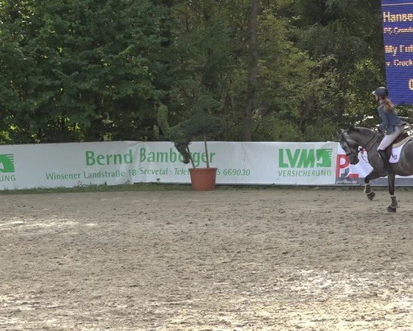 Reitturnier Sieversen - Rosengarten 2024