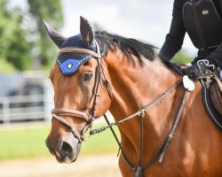 jumper Château Fernantes 2 (Belgian Warmblood, 2002, from Orlando van de Heffinck)