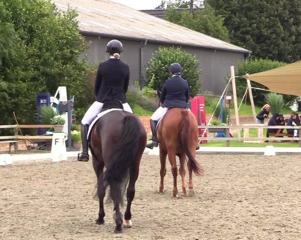 Reitturnier Kleinsolter Turniertage 2024