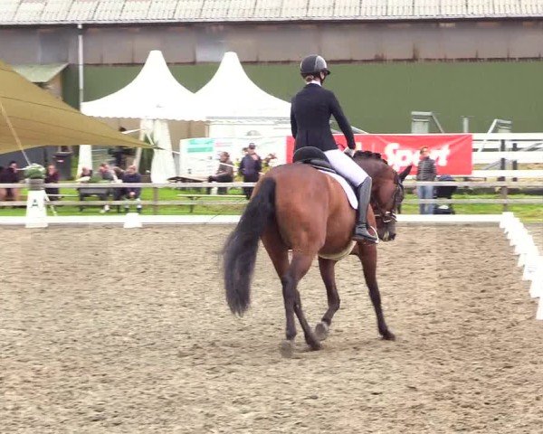 Reitturnier Kleinsolter Turniertage 2024