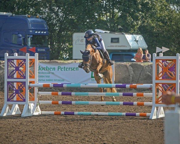 jumper Ceks vom Mörkenhof (German Riding Pony, 2019)