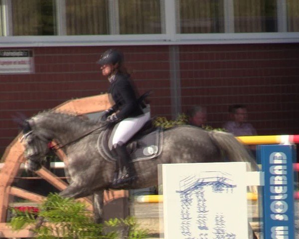 Reitturnier Werne 2024