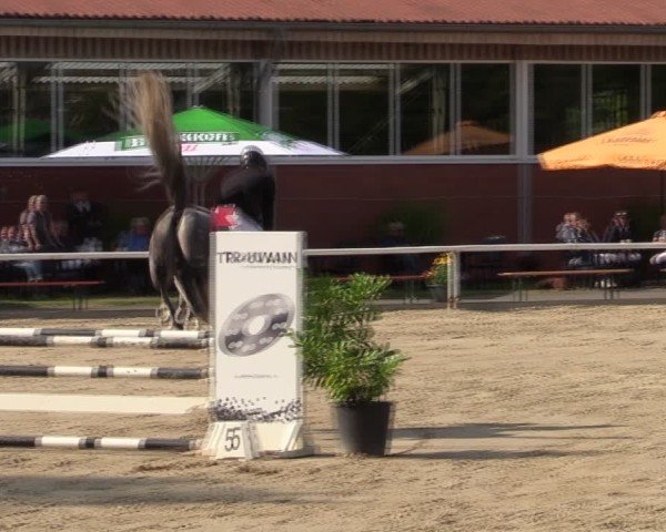 Reitturnier Werne 2024