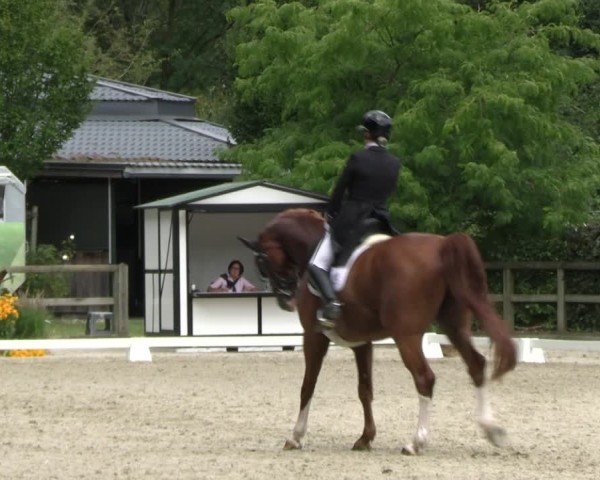 Reitturnier Solingen 2024