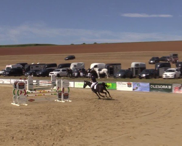 Reitturnier Duderstadt 2024