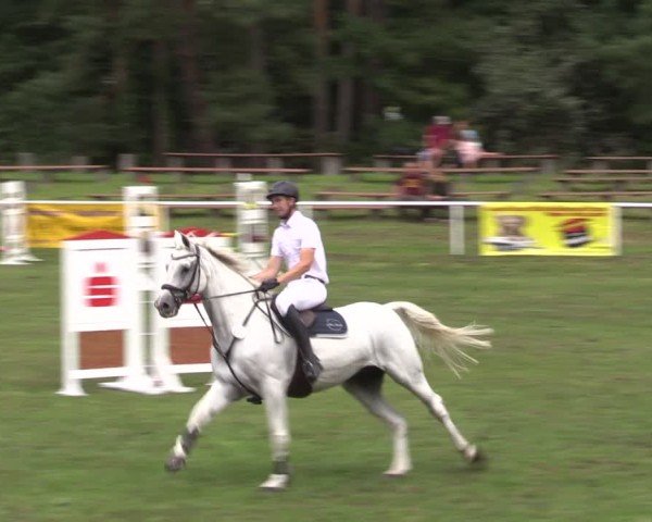 Reitturnier Plöwen 2024
