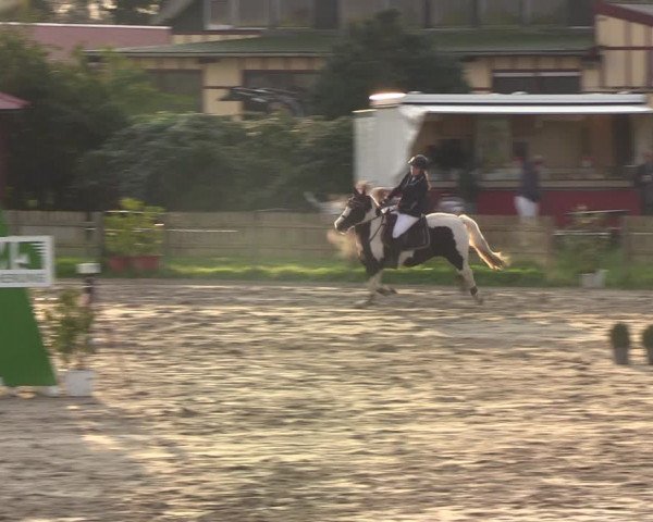 Reitturnier Schülp / Rendsburg 2021