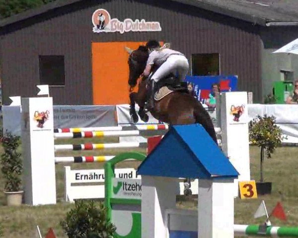 Nord-Ost-Pferd 2013