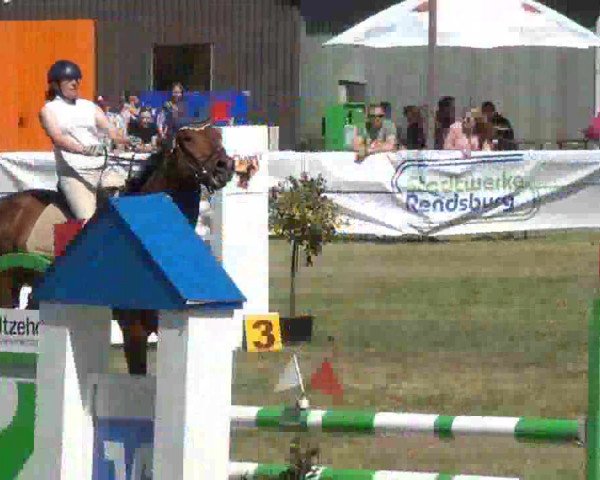 Nord-Ost-Pferd 2013