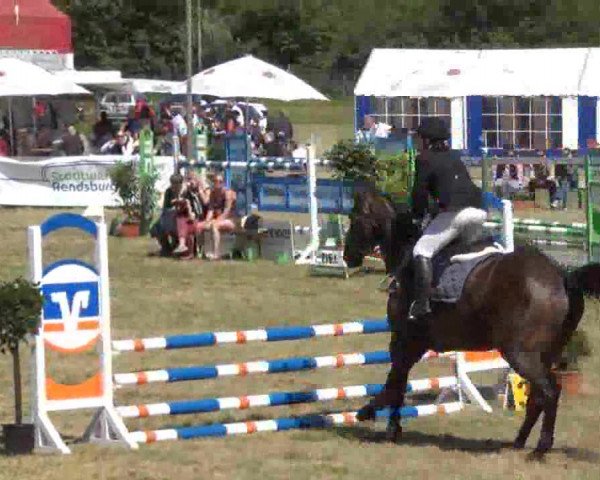 Nord-Ost-Pferd 2013