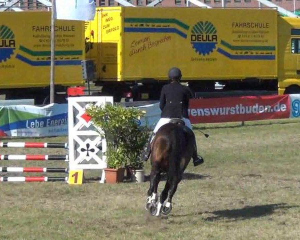 Nord-Ost-Pferd 2013