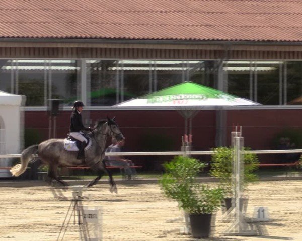 Reitturnier Werne 2024
