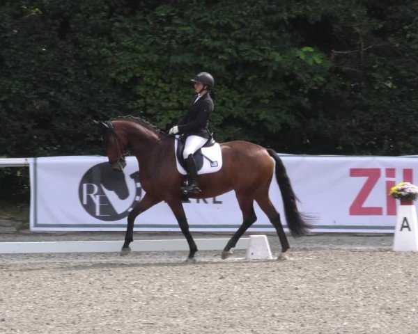 Reitturnier Zillhofen/Obb. 2024