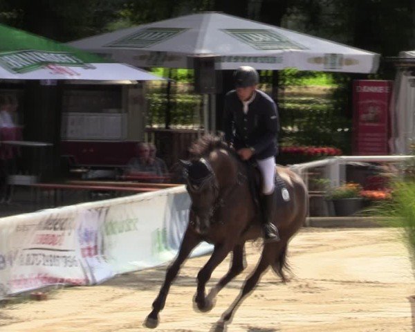 Reitturnier Werne 2024