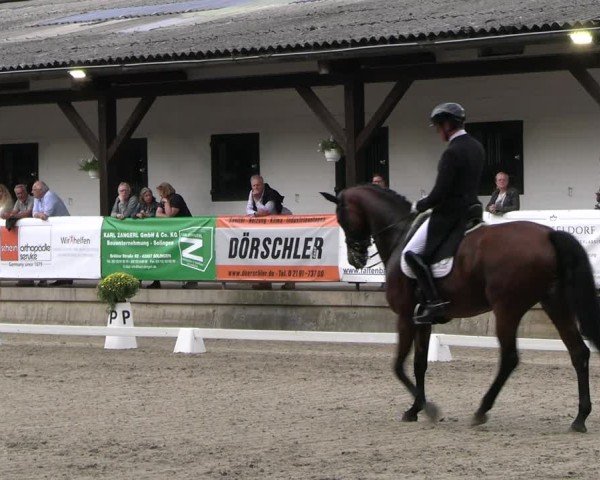 Reitturnier Solingen 2024