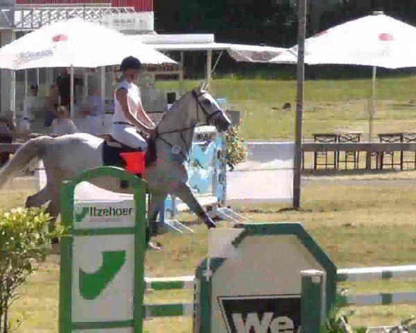 Nord-Ost-Pferd 2013
